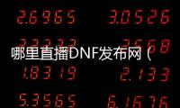 哪里直播DNF发布网（dnf主播在哪个平台）