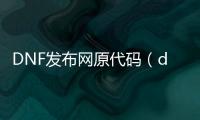 DNF发布网原代码（dnf游戏代码）