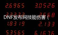 DNF发布网技能伤害（dnf技能伤害排名）