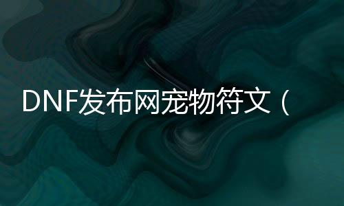 DNF发布网宠物符文（dnf2021宠物附魔什么好）