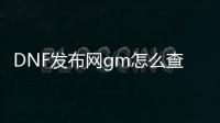 DNF发布网gm怎么查询封号（查询DNF发布网封号记录查询）