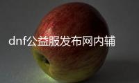 dnf公益服发布网内辅设置（详解dnf公益服发布网内辅配置方法）