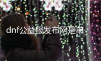 dnf公益服发布网是单机吗（探讨dnf公益服发布网的游戏模式）