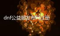dnf公益服发布网注册上限（注册人数限制及相关规定）