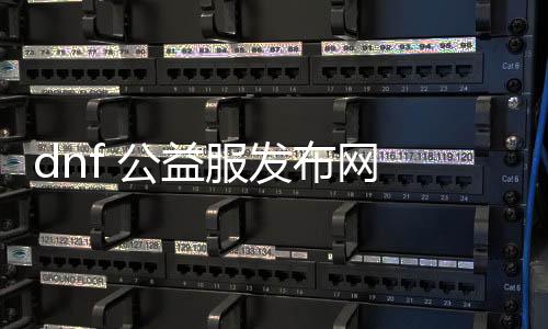 dnf 公益服发布网 自动刷深渊（dnf深渊自动捡）