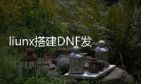 liunx搭建DNF发布网（dnf支持linux）